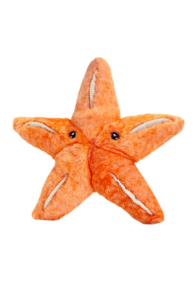 25cm Keeleco starfish