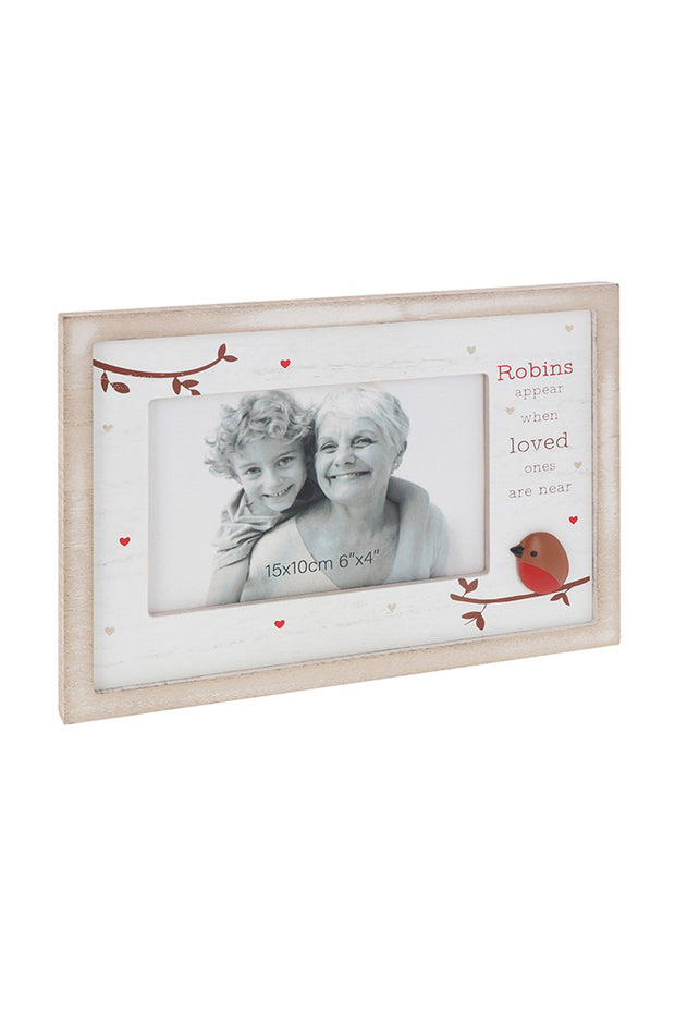 Robins appear picture frame