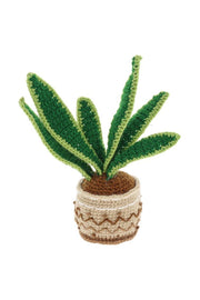 Snake Plant Crochet Kit