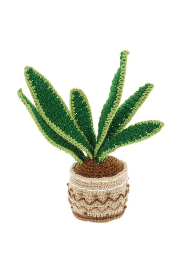 Snake Plant Crochet Kit